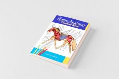 Horse Anatomy Coloring Book
