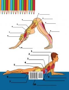 Yoga Anatomie Malbuch für Anfänger: 50+ Unglaublich Detailliertes Arbeitsbuch zum Selbsttest von Yoga-Posen in Farbe für Anfänger Das perfekte Geschenk für Yogalehrer -lehrner und -begeisterte