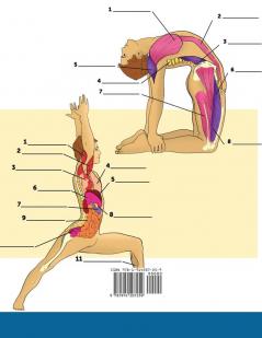 Libro Para Colorear de la Anatomía del Yoga: 3-en-1 Compilación Más de 150 Ejercicios de Colores con Posturas de Yoga Para Principiantes Intermedios y Expertos muy Detallados