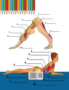 Libro Para Colorear de la Anatomía del Yoga Para Principiantes: 50+ Ejercicios de Colores con Posturas de Yoga Para Principiantes El Regalo Perfecto Para Instructores de Yoga Maestros y Aficionados