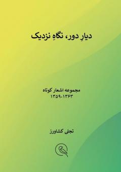 دیارِ دور نگاهِ نزدیک (Persian Edition)