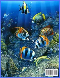 Sea Creatures Coloring Book: For Men and Woman with Sea and Underwater Life Featuring Dolphins Tropical Fish Amazing Coral Reefs and Beautiful Landscapes.