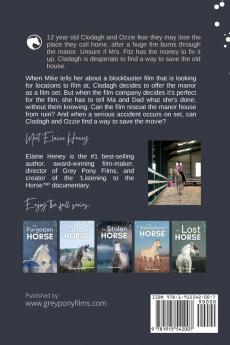 The Mayfield Horse - Book 3 in the Connemara Horse Adventure Series for Kids | The Perfect Gift for Children age 8-12