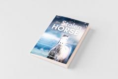 The Stolen Horse - Book 4 in the Connemara Horse Adventure Series for Kids | The Perfect Gift for Children age 8-12
