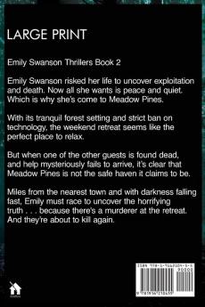 Mind for Murder: Large Print Edition: 2 (The Emily Swanson Series)