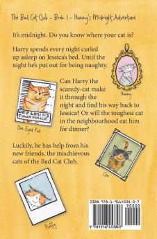 Harry's Midnight Adventure: 1 (Bad Cat Club)