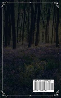 Wicca For Beginners