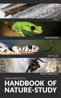 The Handbook Of Nature Study in Color - Fish Reptiles Amphibians Invertebrates