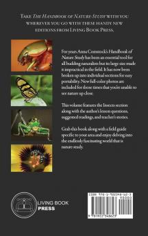 The Handbook Of Nature Study in Color - Insects