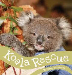 Koala Rescue