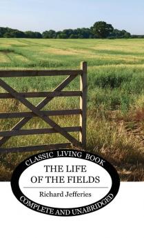 The Life of the Fields