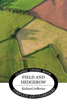 Field and Hedgerow