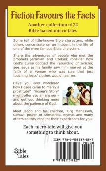 Fiction Favours the Facts - Book 2: Another 22 Bible-based micro-tales