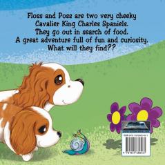 Floss & Poss: The Great Food Search