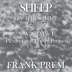 Sheep On The Somme