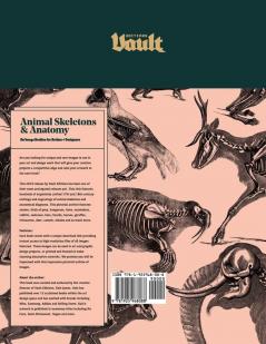Animal Skeletons and Anatomy