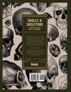 Skulls and Skeletons