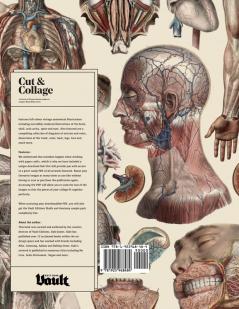 Cut and Collage A Treasury of Vintage Anatomy Images for Collage and Mixed Media Artists