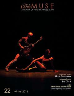 Able Muse Winter 2016 (No. 22 - print edition)