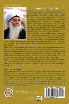 Angels Unveiled A Sufi Perspective