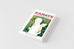 Okinawan Karate