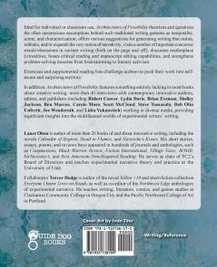 Architectures of Possibility: After Innovative Writing