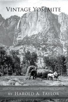 Vintage  Yosemite