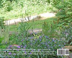 Summer in the Creasey Mahan Nature Preserve