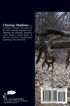 Chasing Shadows