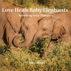 Love Heals Baby Elephants; Rebirthing Ivory Orphans