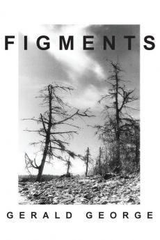 Figments