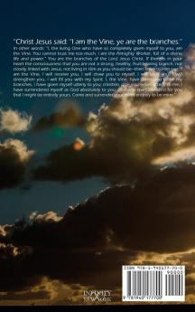 Absolute Surrender by Andrew Murray