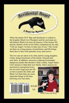Black Cat and the Accidental Angel