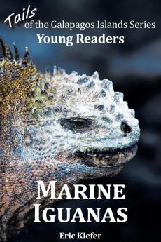 Marine Iguanas - Tails of the Galapagos Islands Series