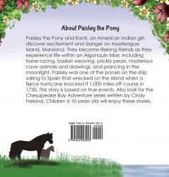 Paisley the Pony: An Assateague Island Adventure