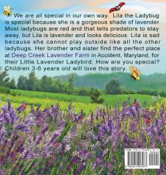 Lila the Ladybug: A Deep Creek Lake Adventure