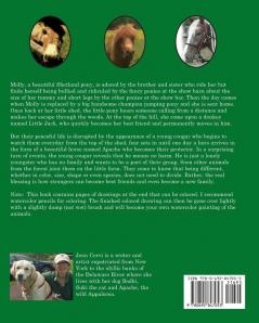 Wild and Wishful Dark and Dreaming: The Worlds of Alethea Kontis
