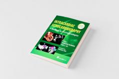 Intracardiac Echocardiography