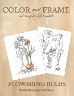 Color and Frame