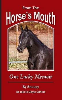 From the Horse's Mouth: One Lucky Memoir