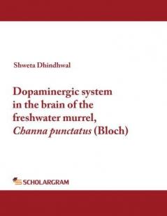 Dopaminergic system in the brain of the freshwater murrel Channa punctatus (Bloch)