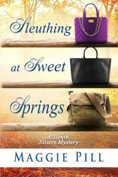 Sleuthing at Sweet Springs: 4 (Sleuth Sisters Mysteries)