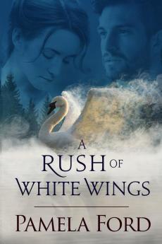 A Rush of White Wings: An Irish historical love story: 2 (Out of Ireland)