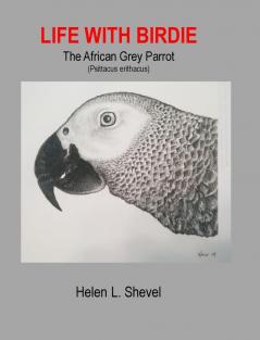 Life with Birdie The African Grey Parrot