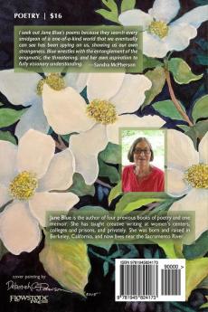 Obsession with the Dogwood