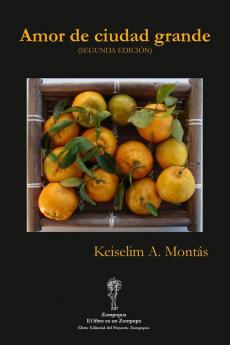 Amor De Ciudad Grande (Segunda Edición) (Spanish Edition)