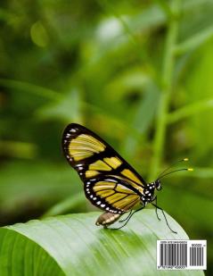 Butterfly Magic Grayscale Adult Coloring Book: Beautiful Coloring Pages of Butterflies in a Light Grayscale for Fun and Relaxation