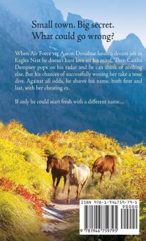 A Cowboy's Secret: 16 (McGavin Brothers)