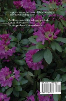 soft designs: ramblings of the interim pictures & poems book two