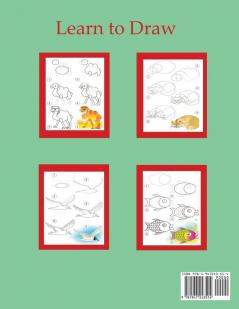 How to Draw Animals